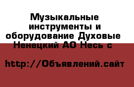 Музыкальные инструменты и оборудование Духовые. Ненецкий АО,Несь с.